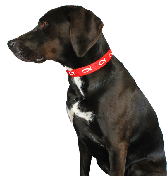 Padded Collar - Fish - Red