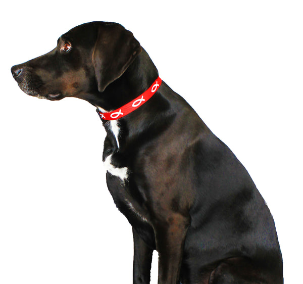 Non-Padded Collar - Fish - Red