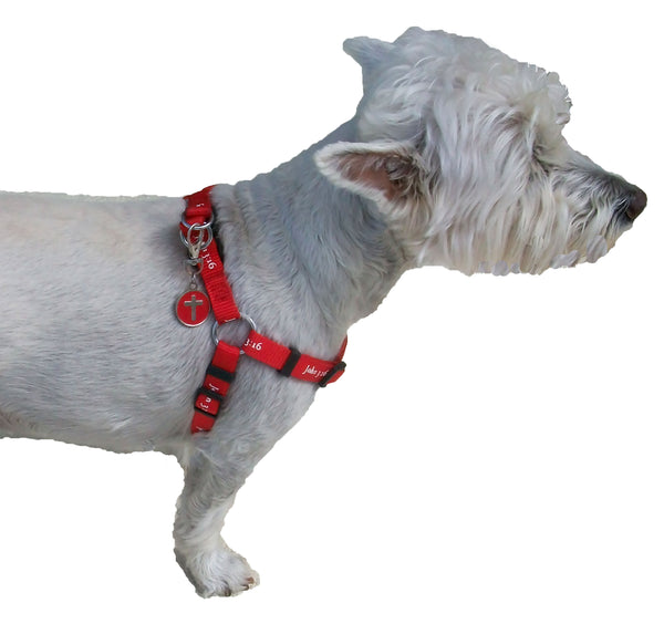Harness - John 3:16 - Red