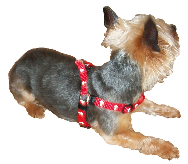 Harness - Cross - Red