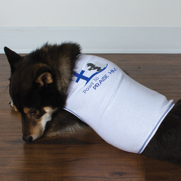 Shirt - Paws to Praise (Dogs) - White/Blue