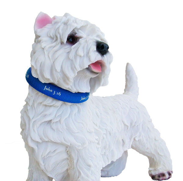 Padded Collar - John 3:16 - Blue