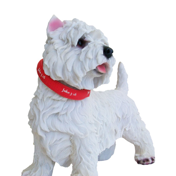 Padded Collar - John 3:16 - Red