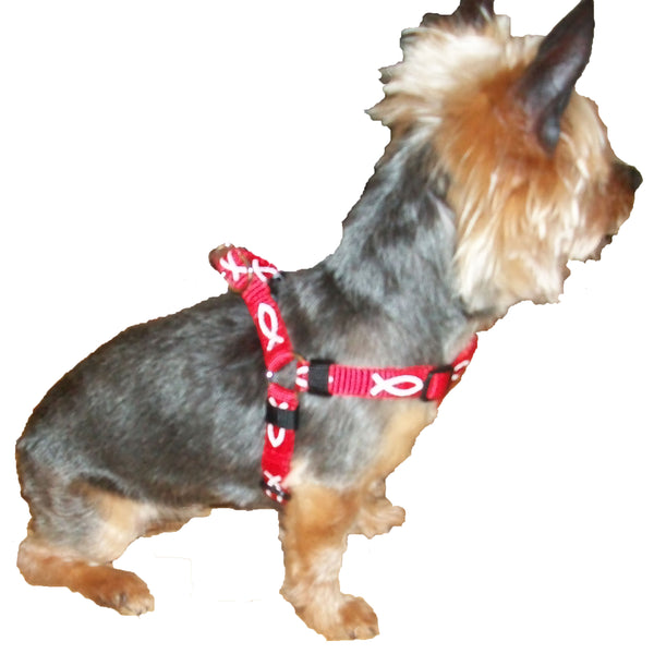 Harness - Fish - Red