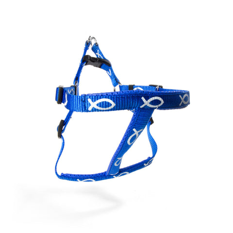Harness - Fish - Blue