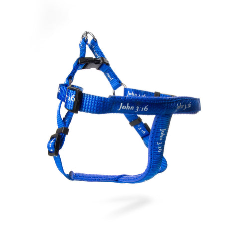 Harness - John 3:16 - Blue