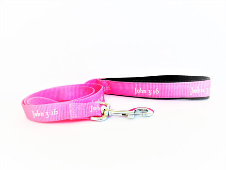 Leash - John 3:16 - Pink
