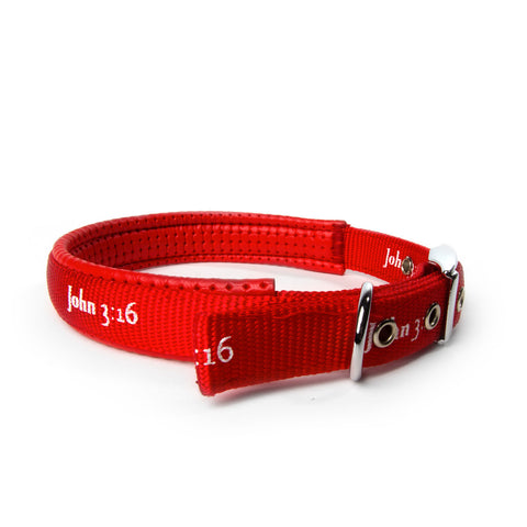 Padded Collar - John 3:16 - Red