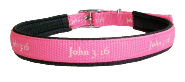 Padded Collar - John 3:16 - Pink