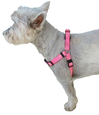 Harness - John 3:16 - Pink